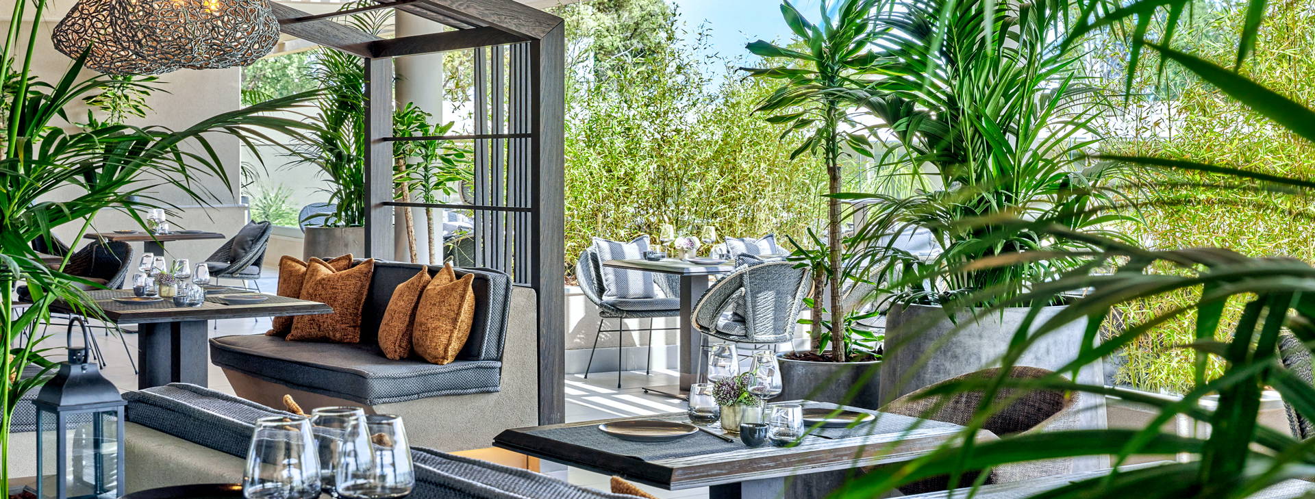 Ikos Odisia Obrázek34