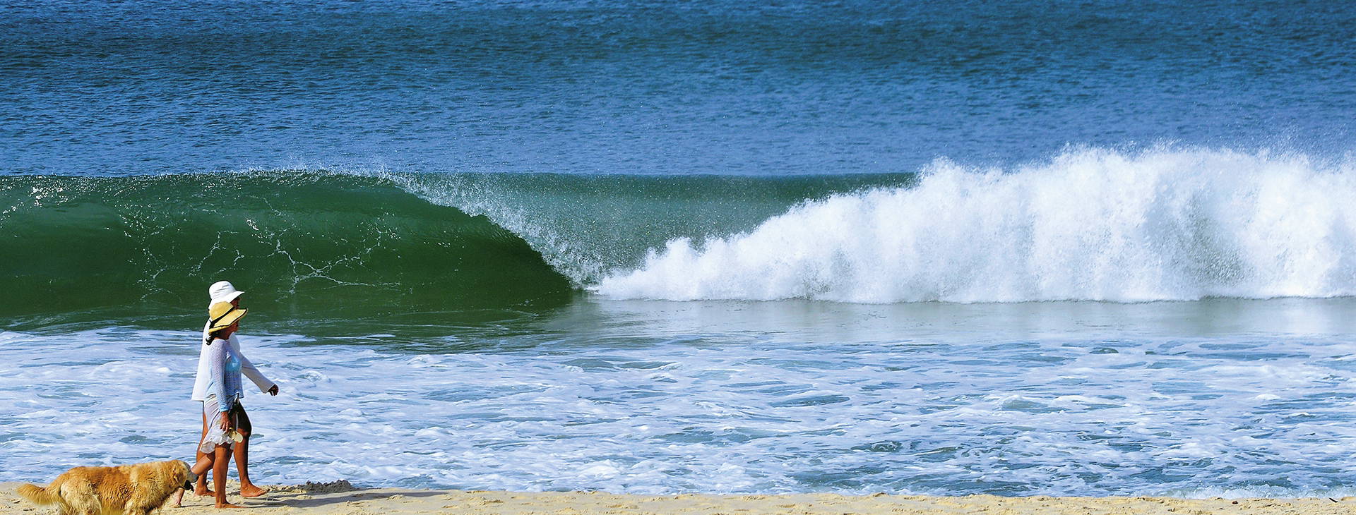 Grand Hyatt Obrázek8