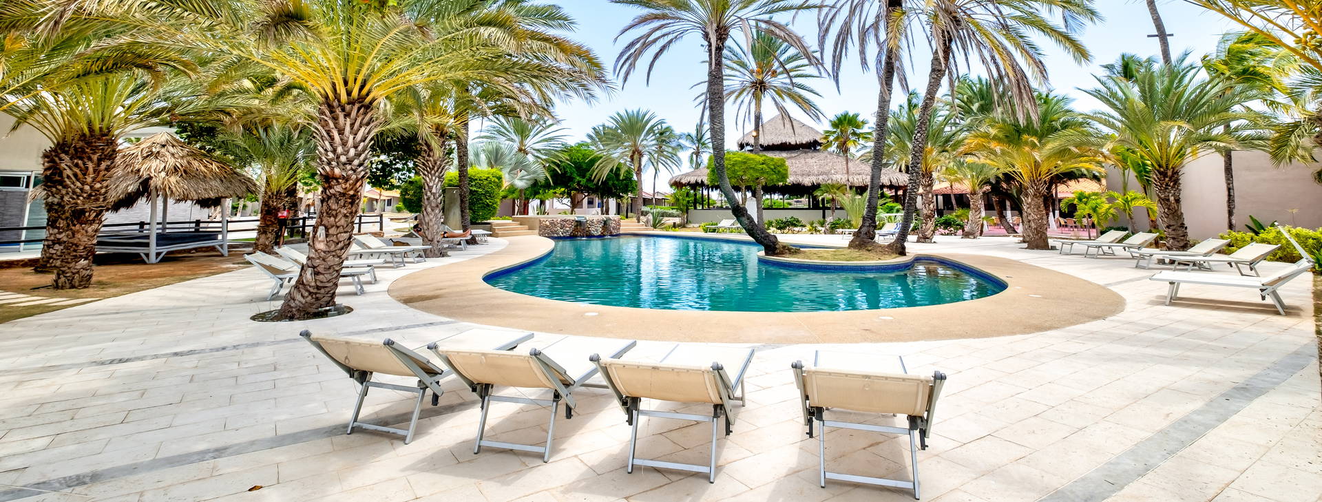 Paradise Coche Obrázek1