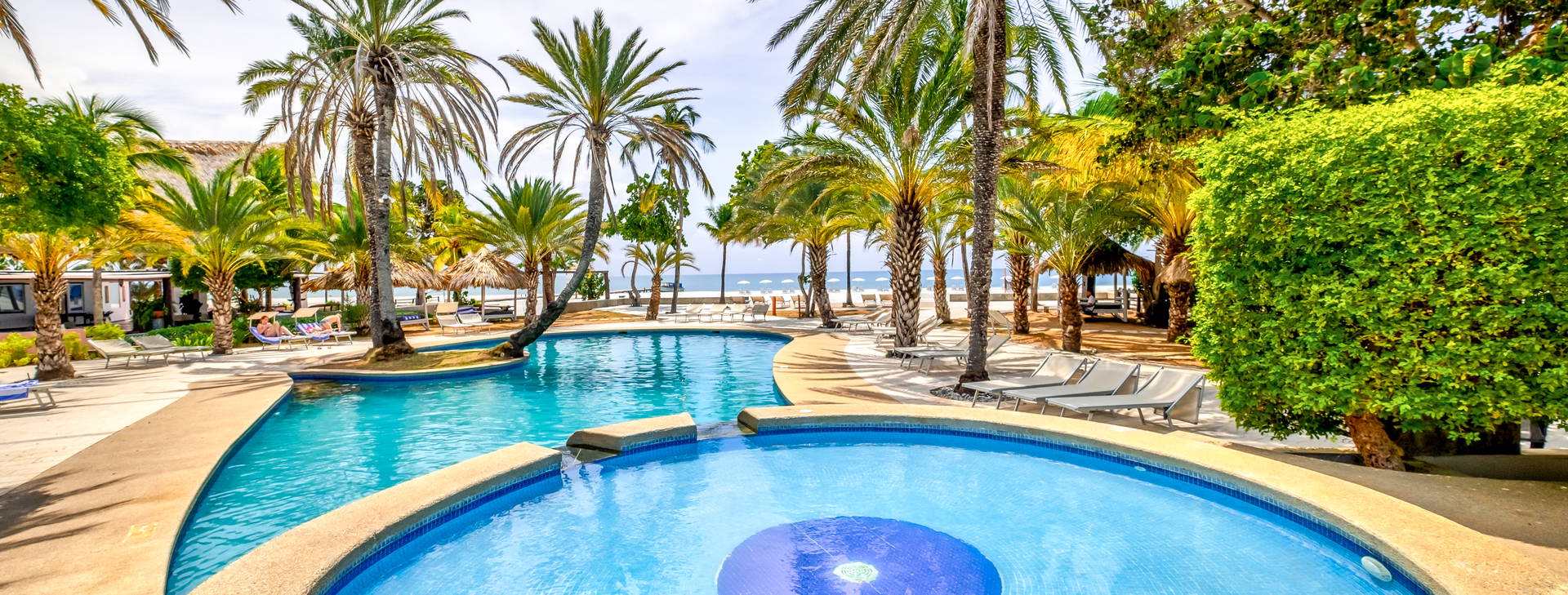 Paradise Coche Obrázek2