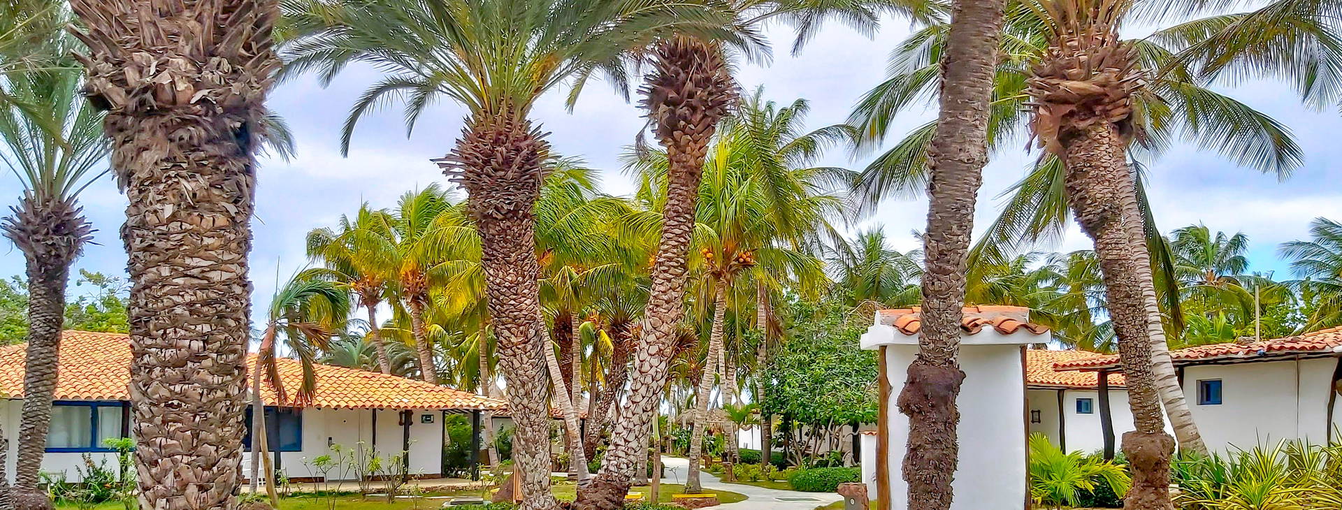 SUNSOL Punta Blanca Obrázek20