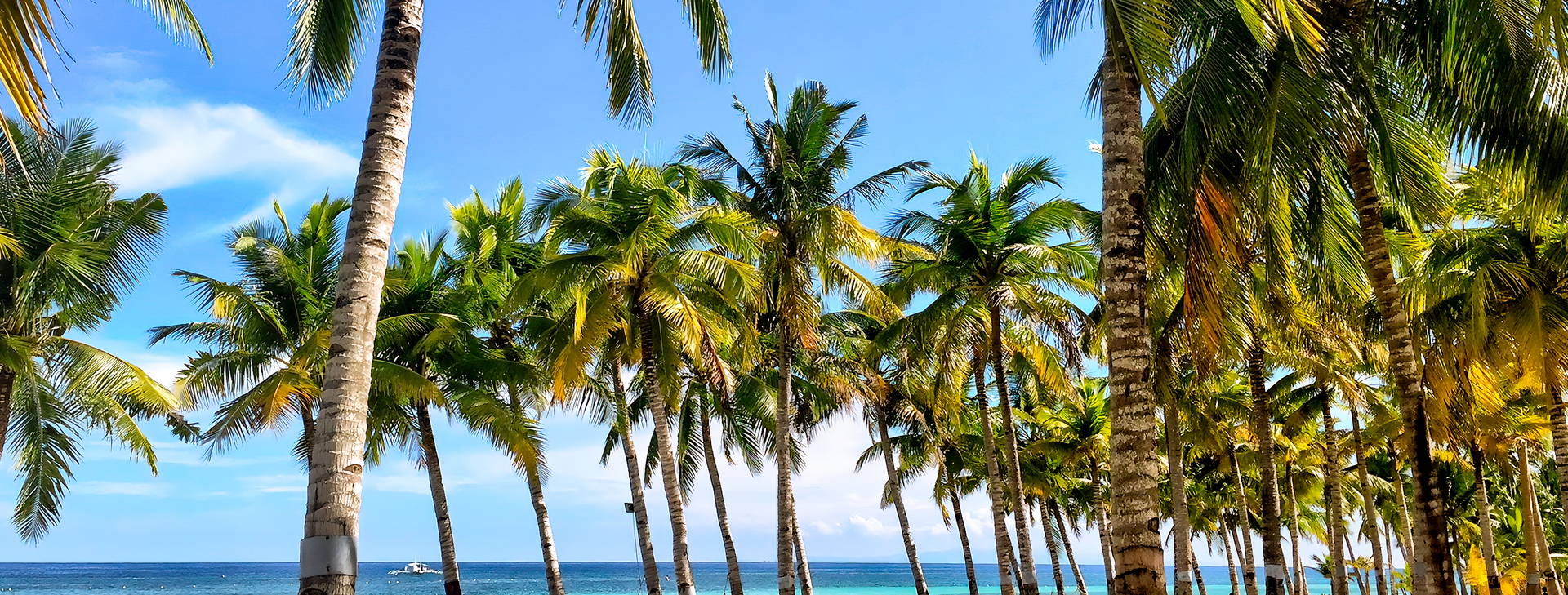 Bohol Beach Club Obrázek2