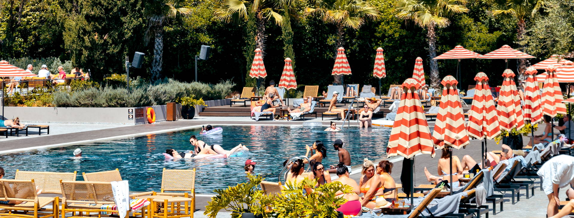 Cook’s Club Obrázek6