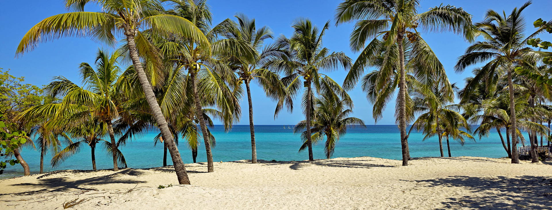 Melia Varadero Obrázek6