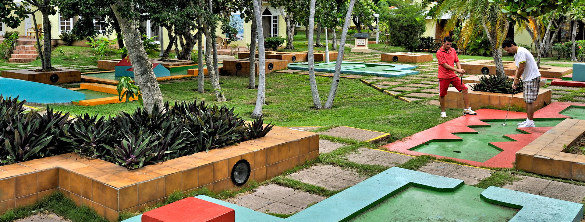 Sol Palmeras Obrázek38