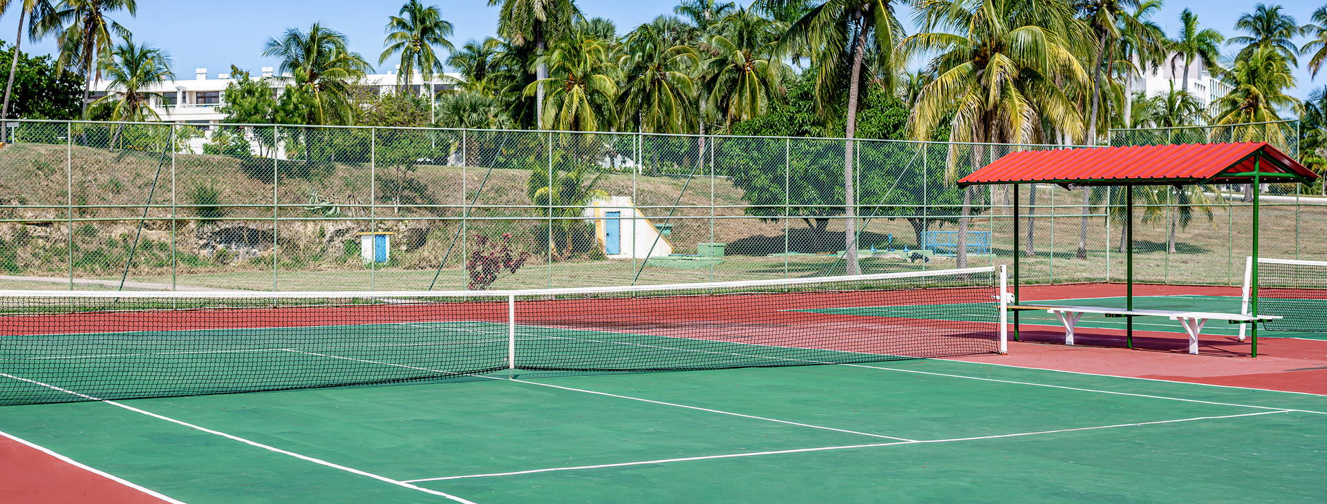 Sol Palmeras Obrázek40