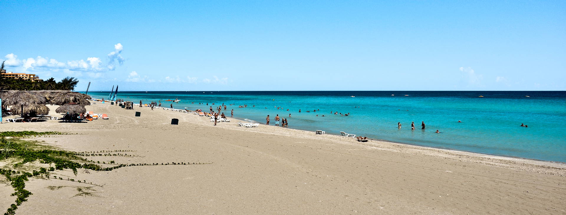 Sol Palmeras Obrázek7