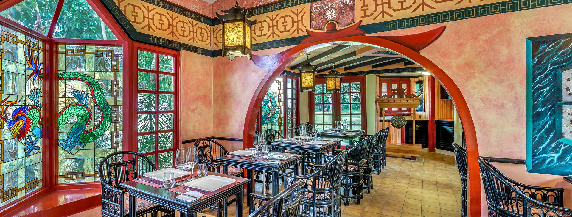 Sol Palmeras Obrázek26