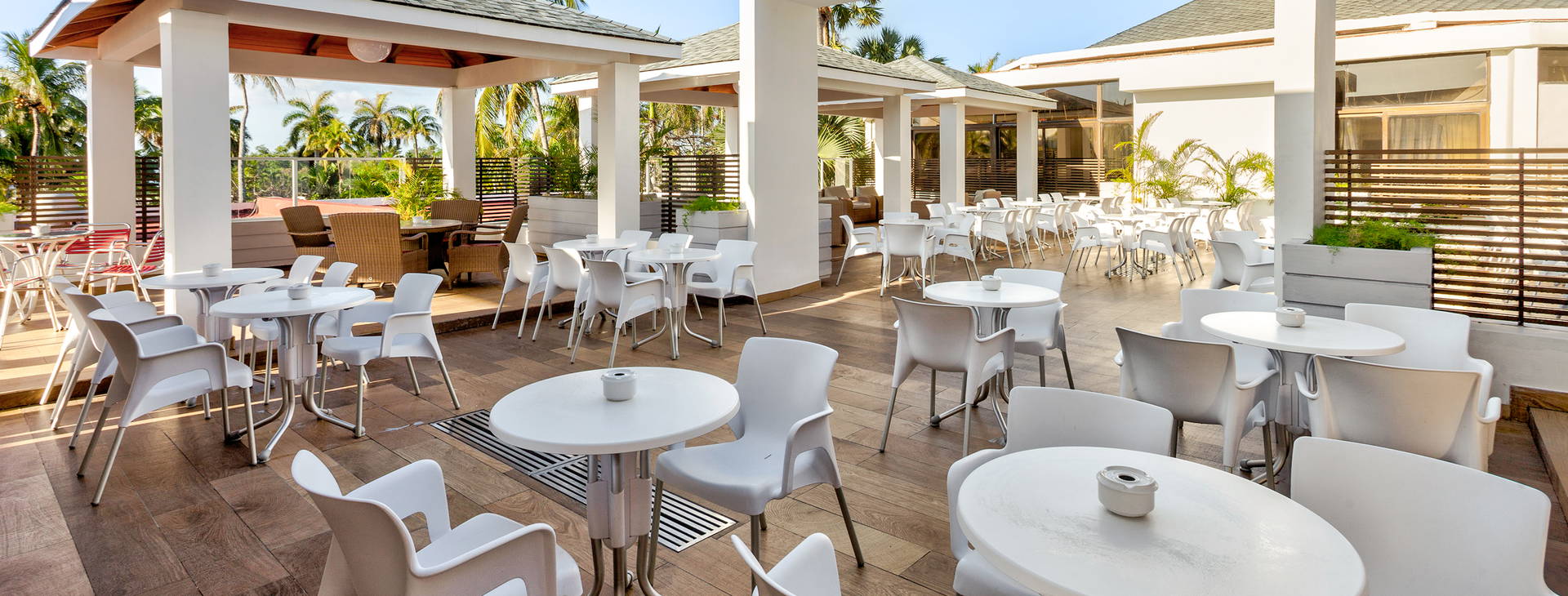 Sol Palmeras Obrázek31