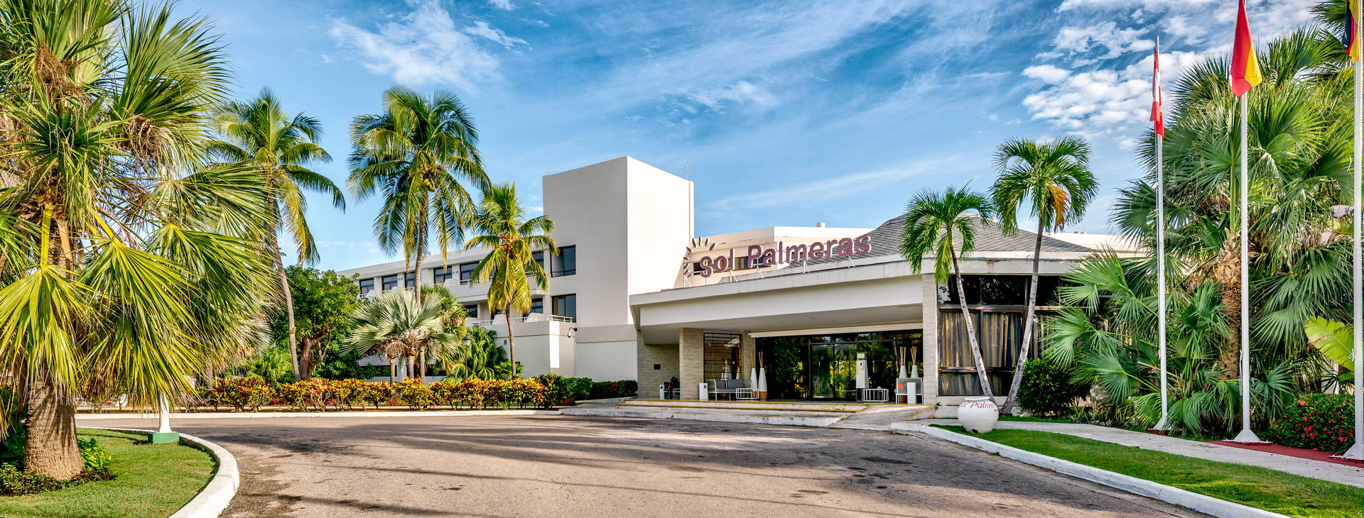 Sol Palmeras Obrázek41
