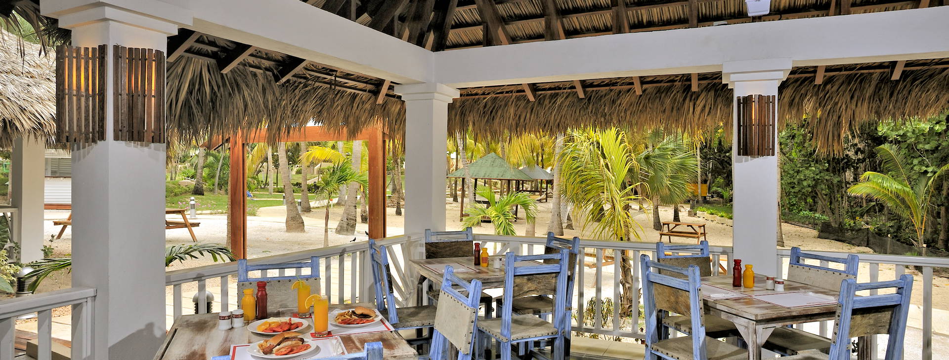 Sol Palmeras Obrázek27