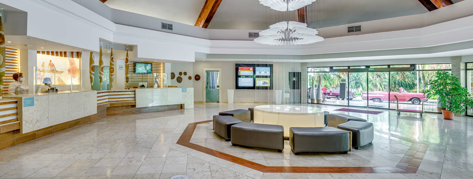 Sol Palmeras Obrázek33