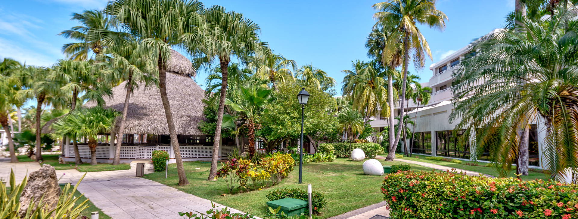 Sol Palmeras Obrázek20