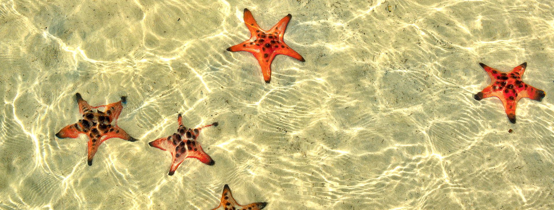 Ubytování VPQ Plus Obrázek15