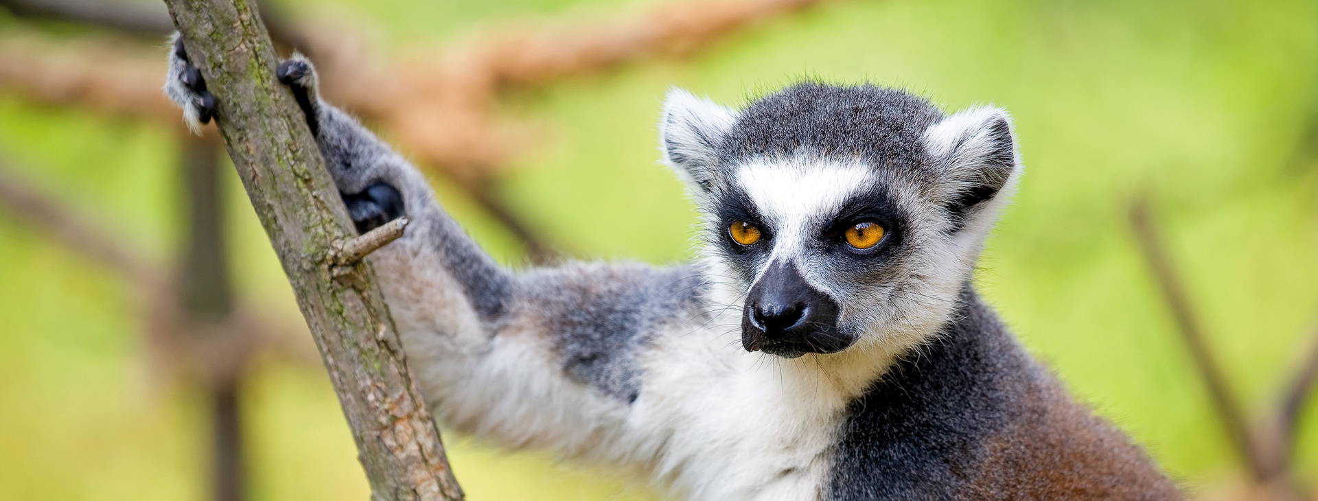 Ubytování VPQ Plus Obrázek17