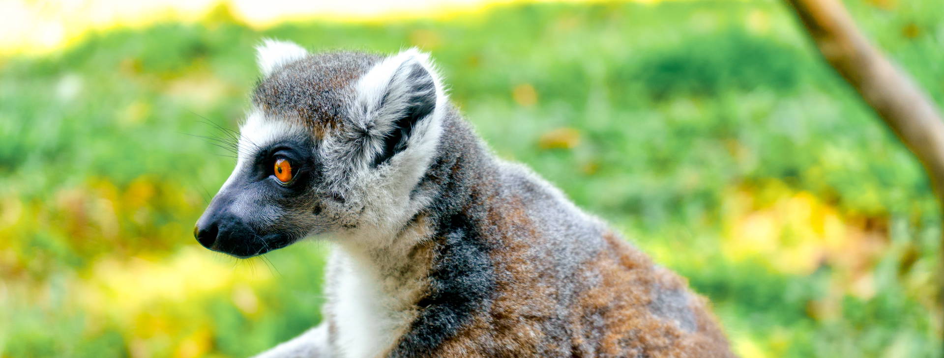 Ubytování VPQ Plus Obrázek8