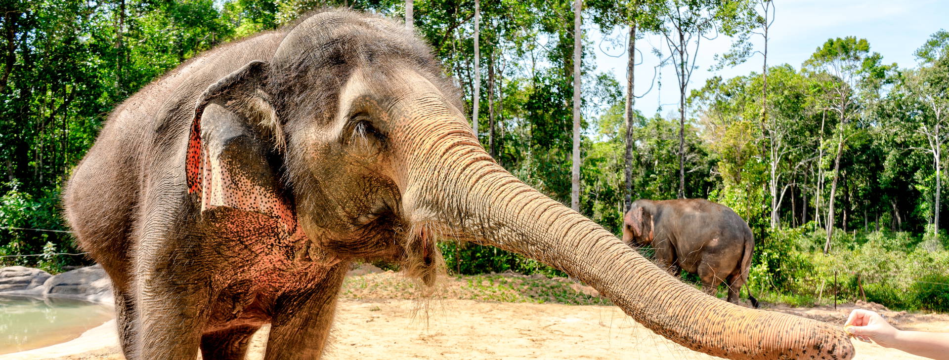 Ubytování VPQ Plus Obrázek4