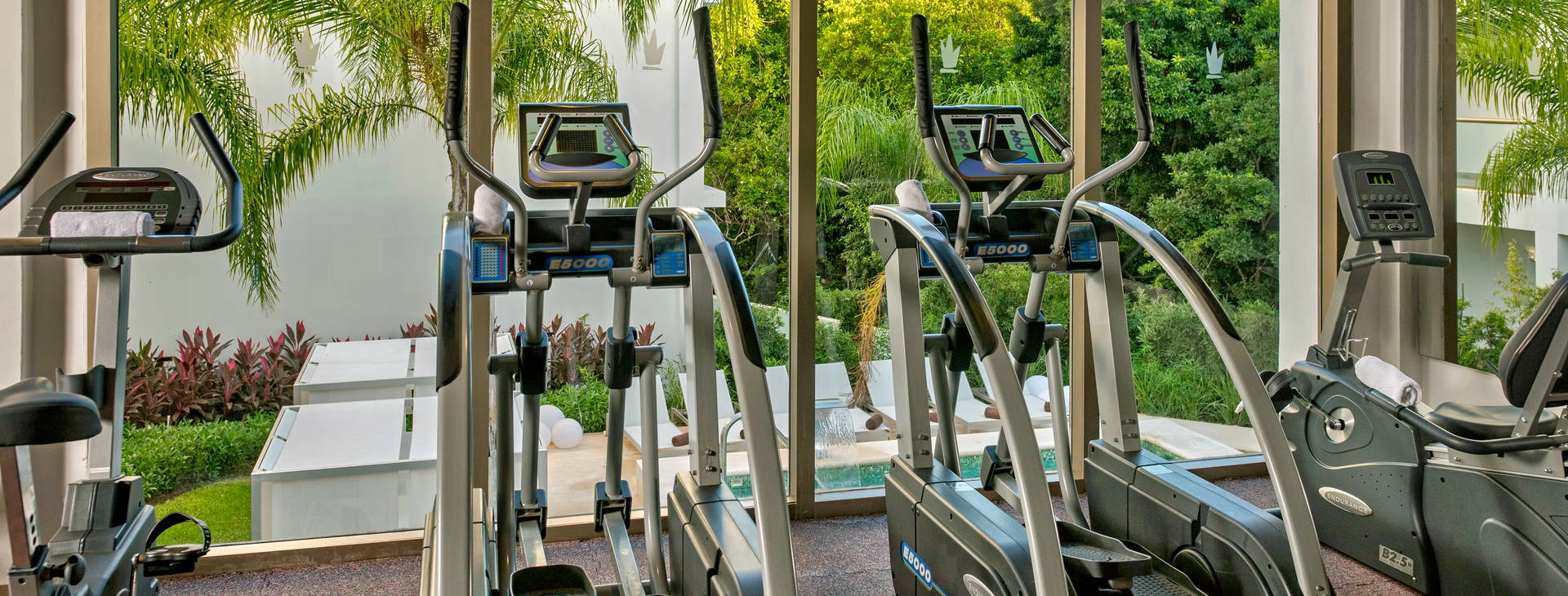 Platinum Yucatan Princess Obrázek35