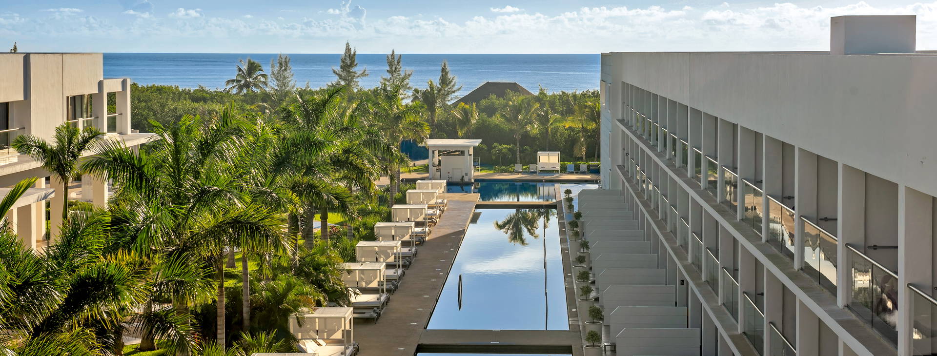 Platinum Yucatan Princess Obrázek9