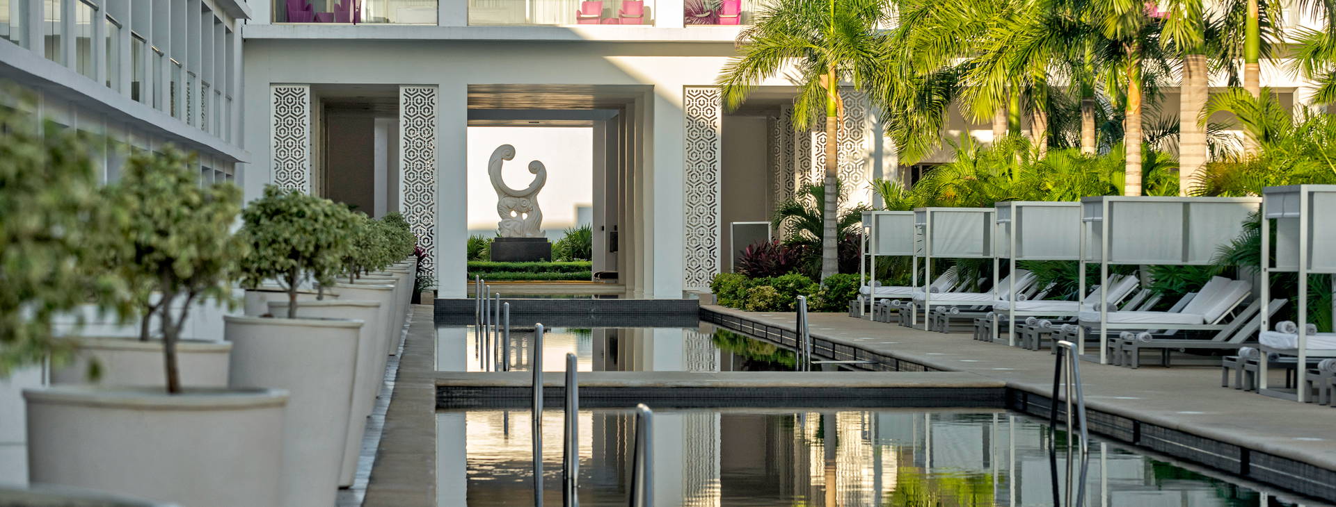 Platinum Yucatan Princess Obrázek7