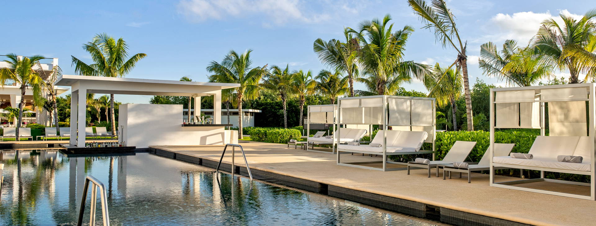 Platinum Yucatan Princess Obrázek4