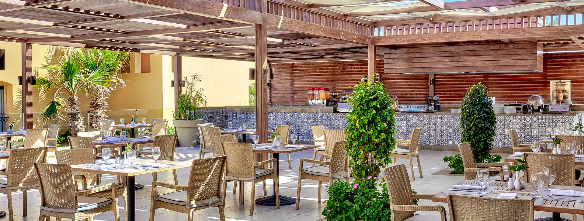 Jaz Solaya Obrázek27