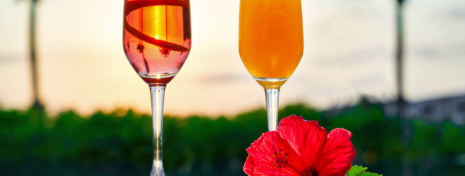 Movenpick Resort Waverly Obrázek26