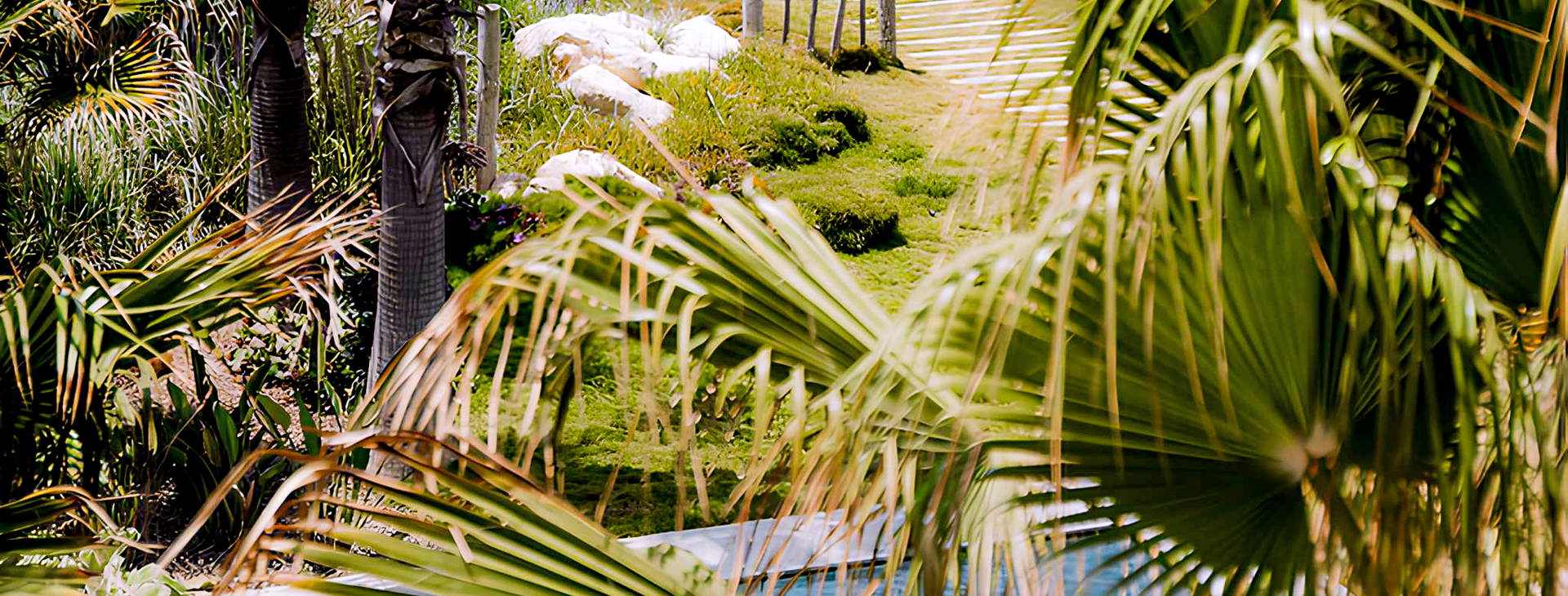 Sofitel Agadir Thalassa Sea & Spa Obrázek17