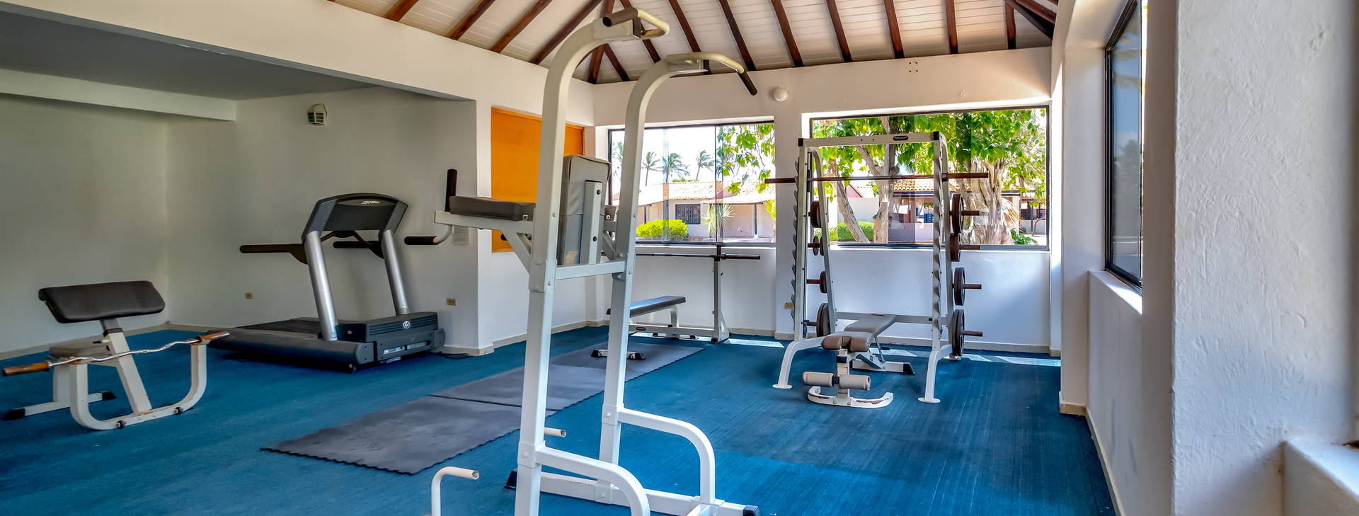 Paradise Coche Obrázek23