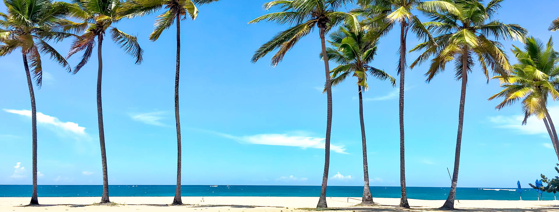 Emotions Playa Dorada Obrázek6