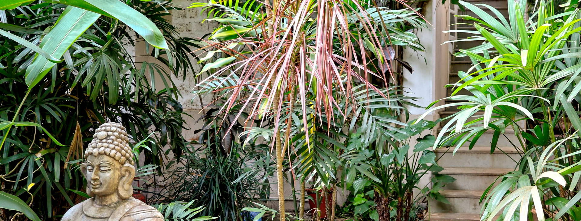 Alidia Beach Resort Obrázek14