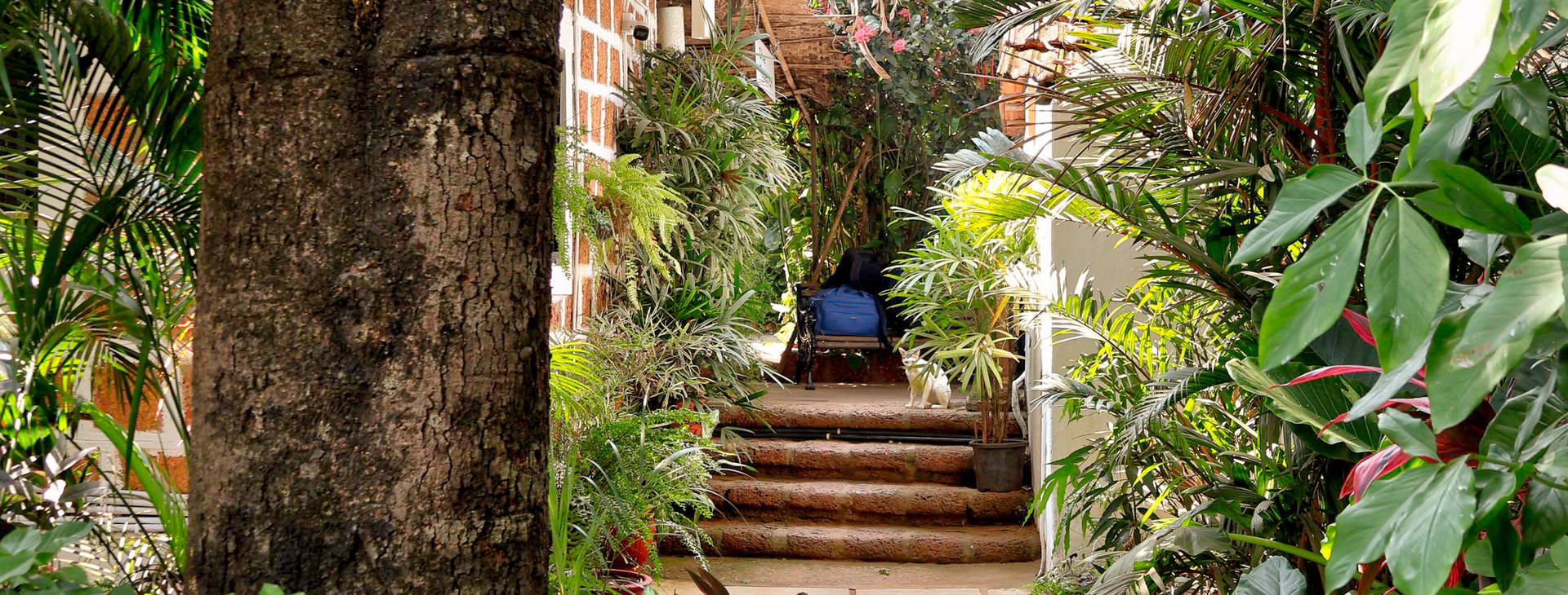 Alidia Beach Resort Obrázek11