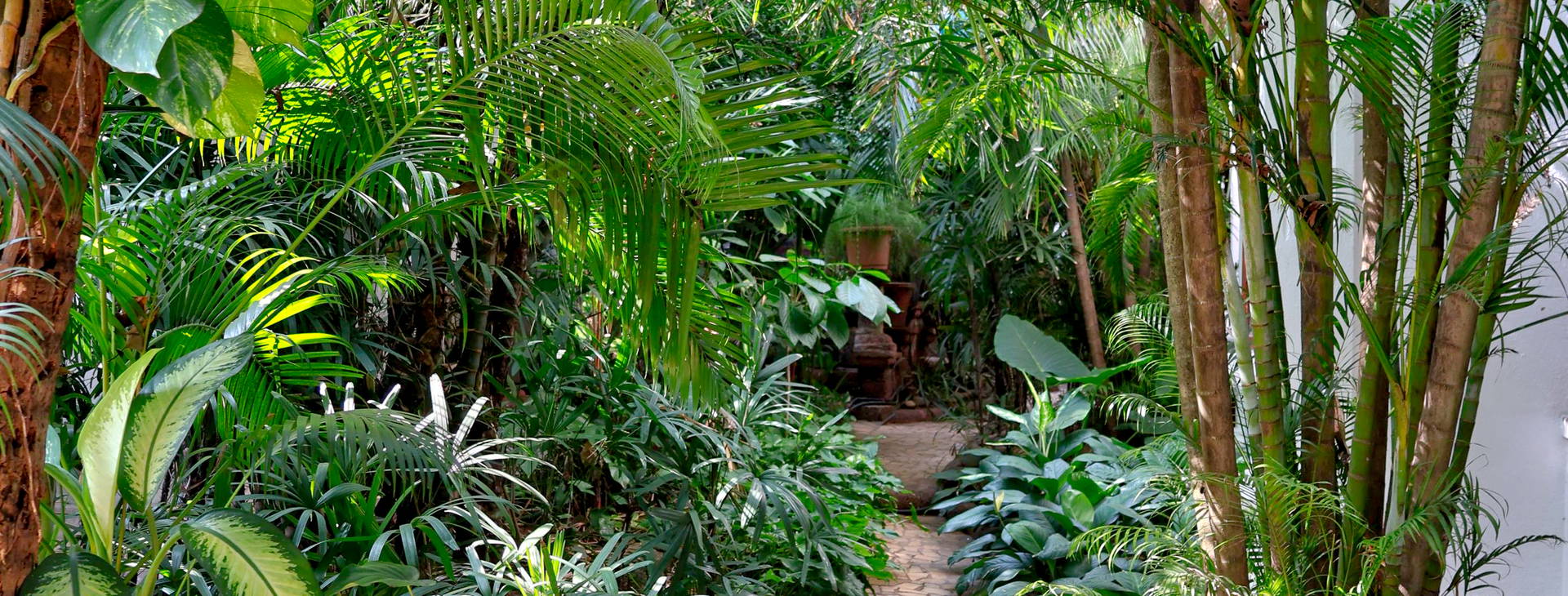 Alidia Beach Resort Obrázek15