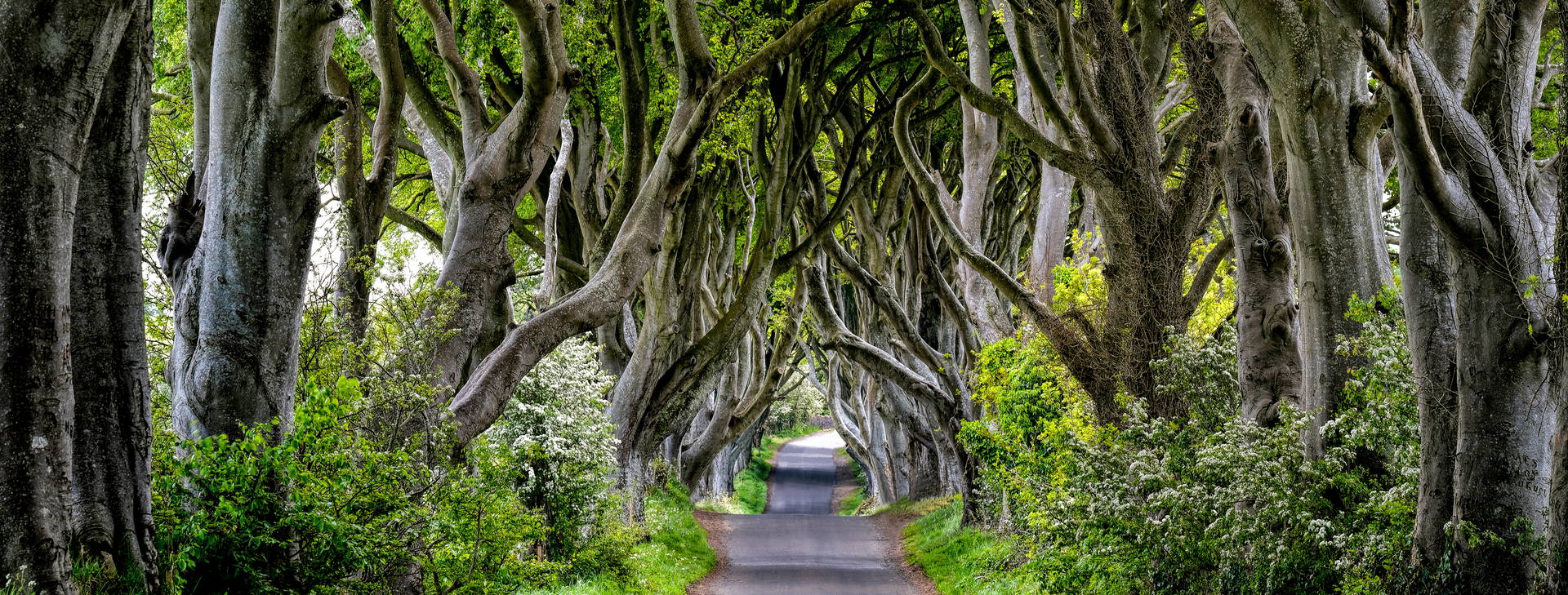 Ubytování IRP Obrázek1