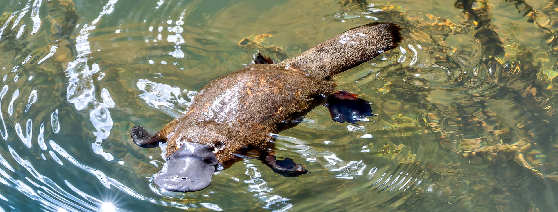 Ubytování AUN Obrázek9