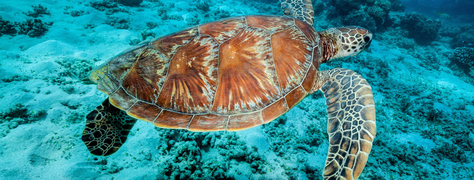 Ubytování AUN Obrázek12