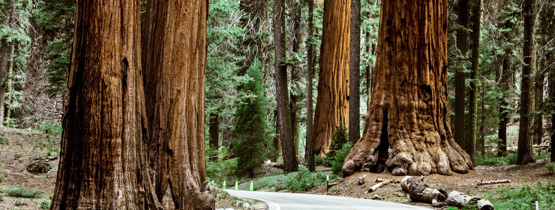 Ubytování AUN Obrázek24