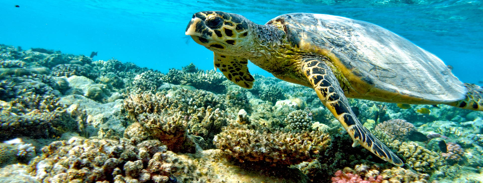 Ubytování AUN Obrázek31