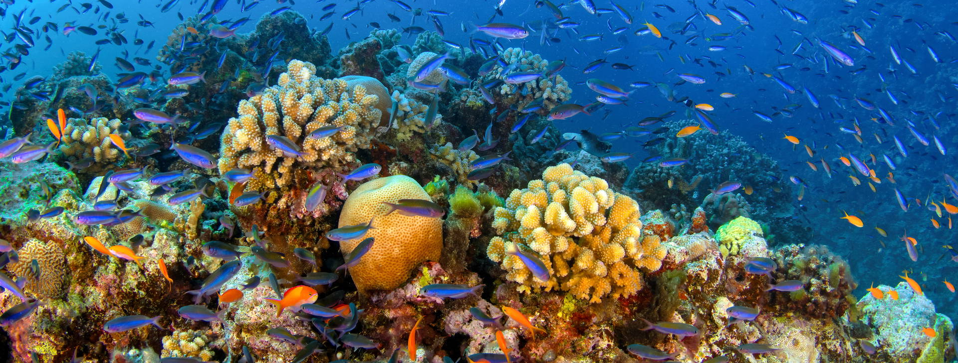 Ubytování AUN Obrázek26