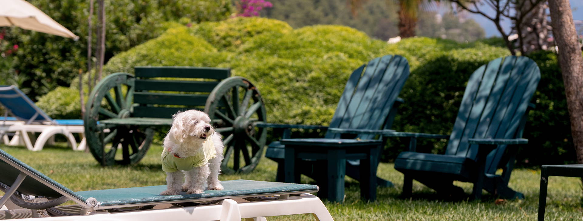 Marti La Perla Obrázek37