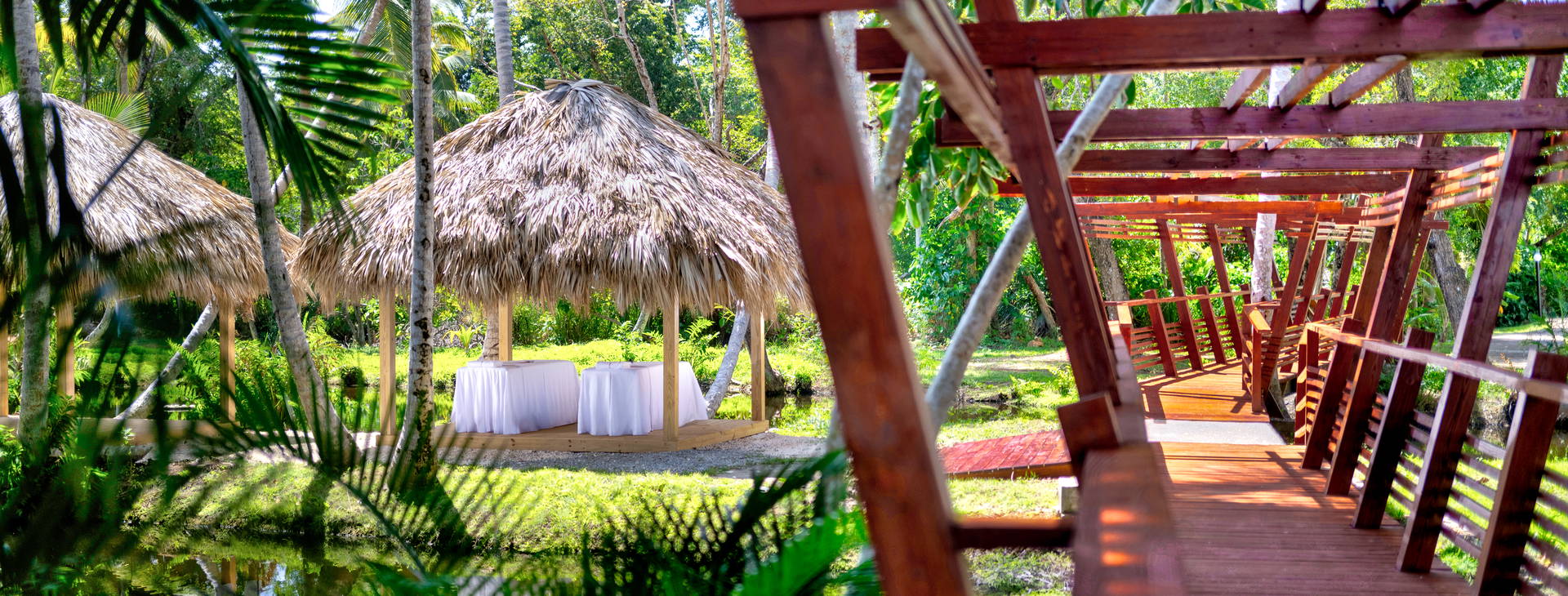 Wyndham Alltra Samana  Obrázek34