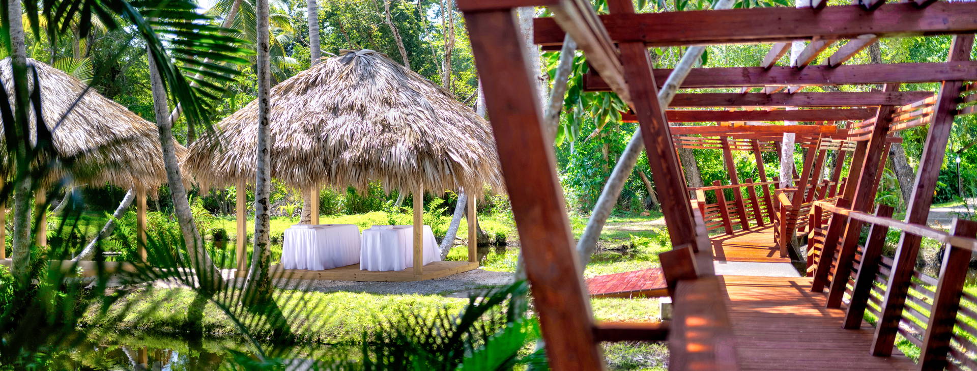 Wyndham Alltra Samana (ex. Grand Paradise Samana) Obrázek42