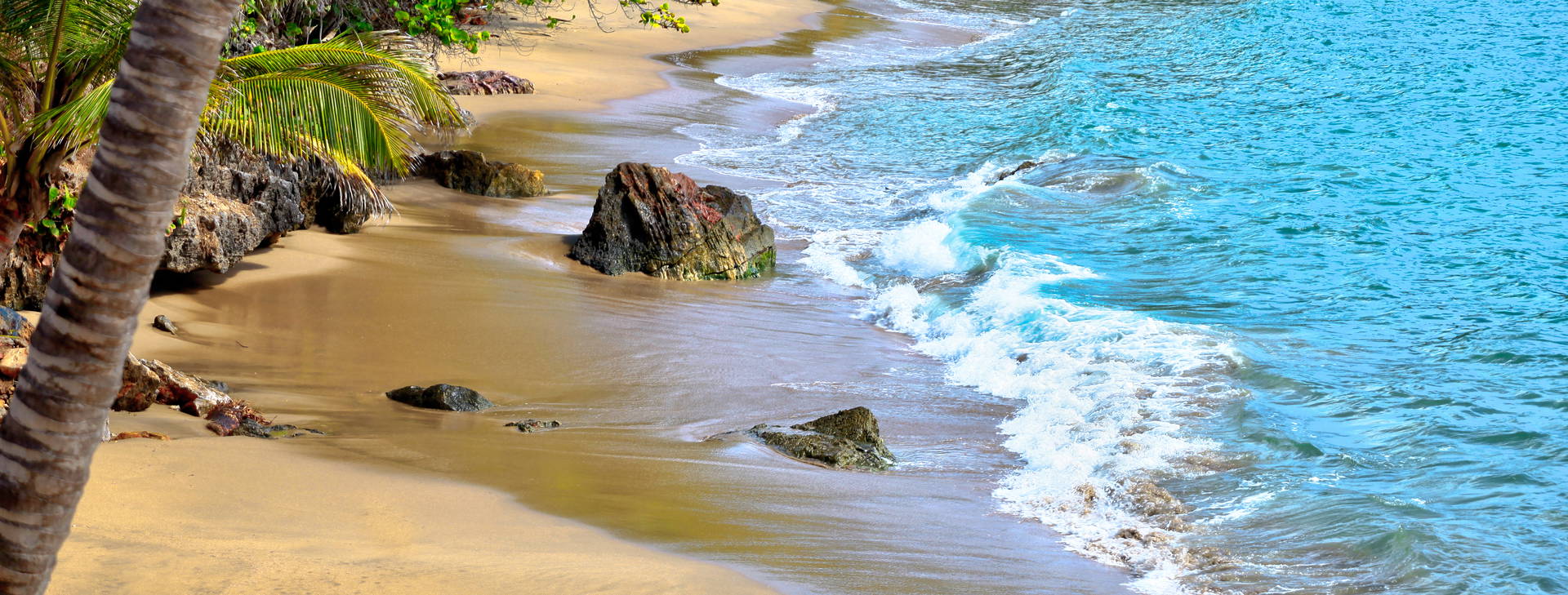 Bahia Principe Grand Samana Obrázek7