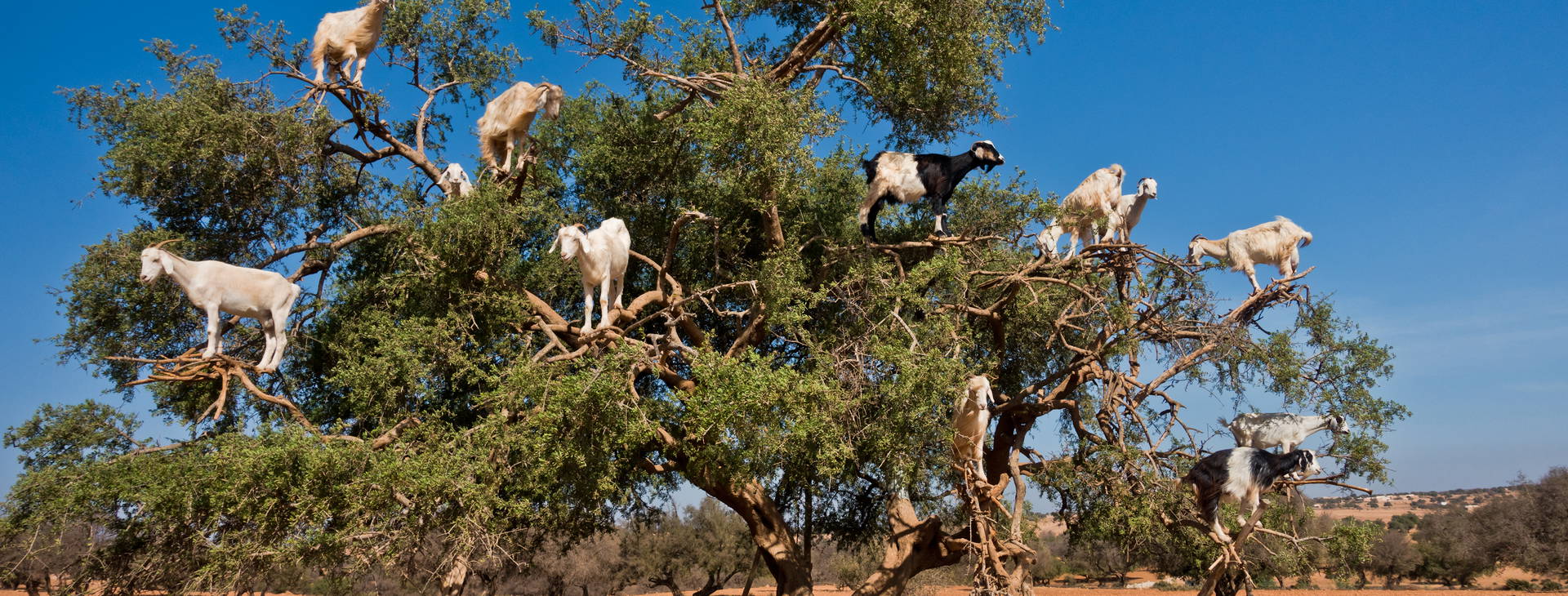 Ubytování MRJ Obrázek10