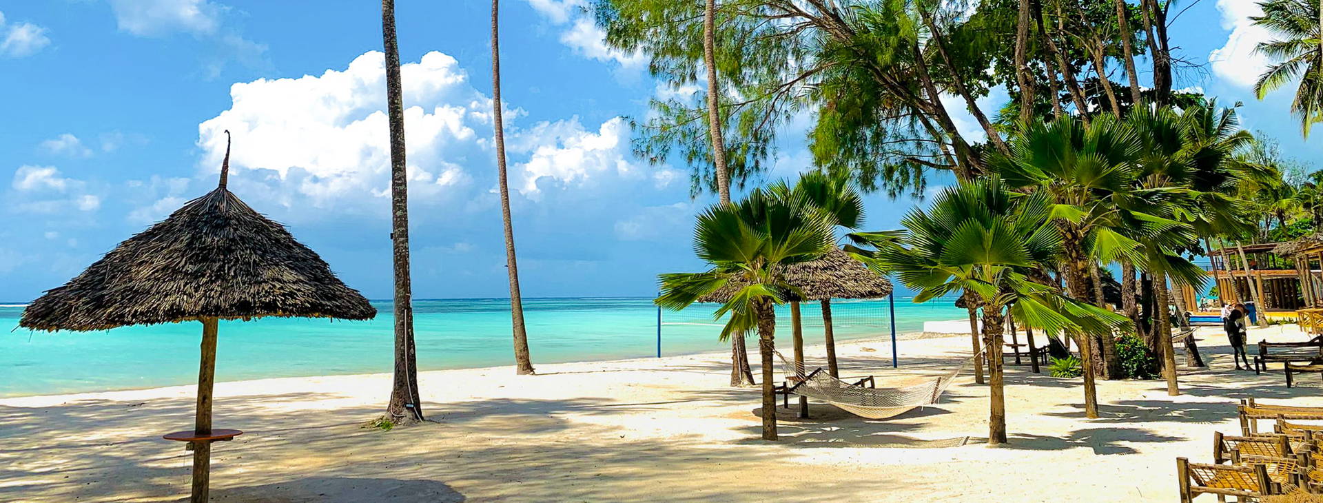 Royal Mandarin Obrázek3