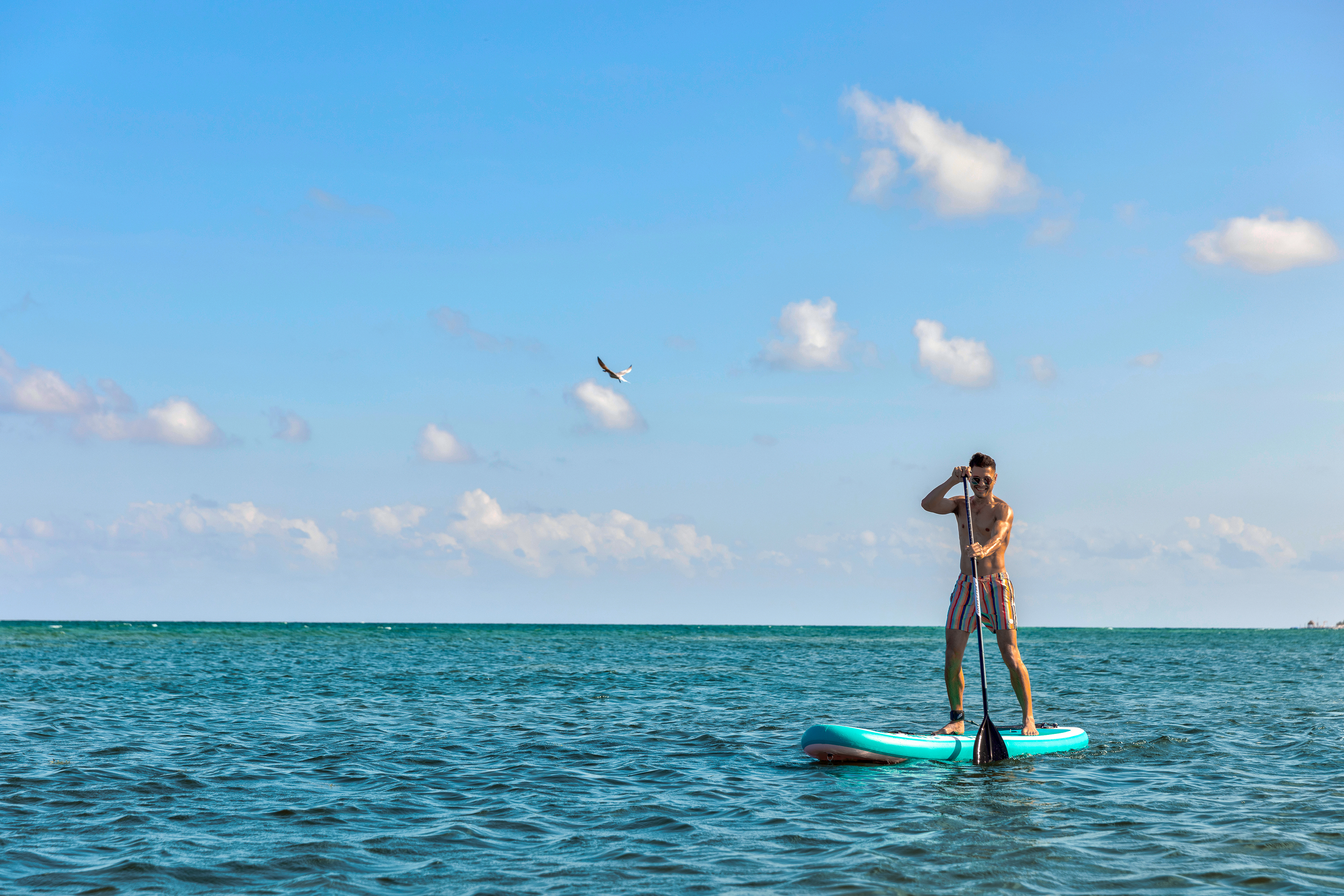 Hyatt Ziva Riviera Cancun Obrázek44