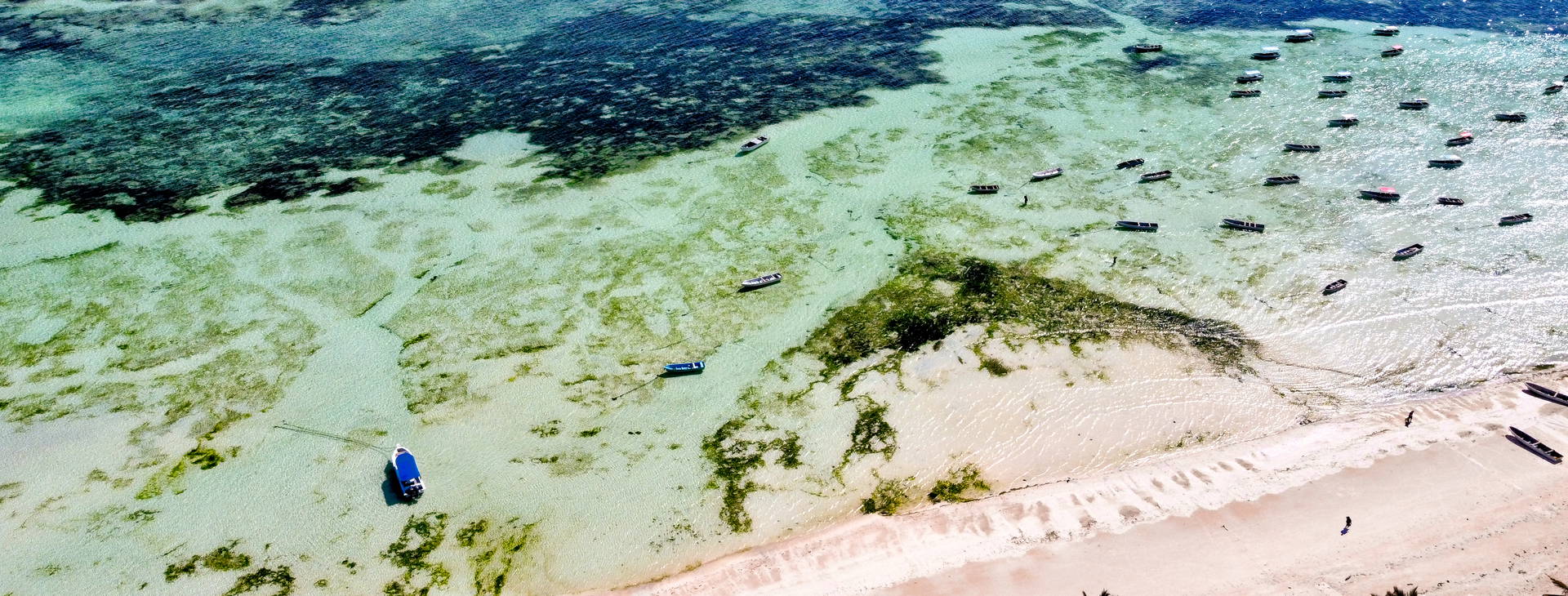 Mandarin Resort Zanzibar Obrázek7