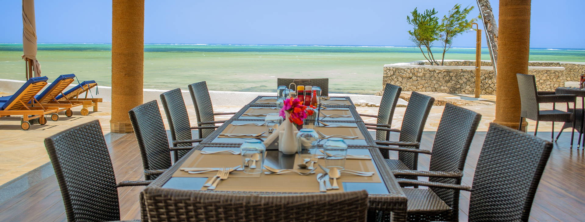 Royal Mandarin Obrázek31