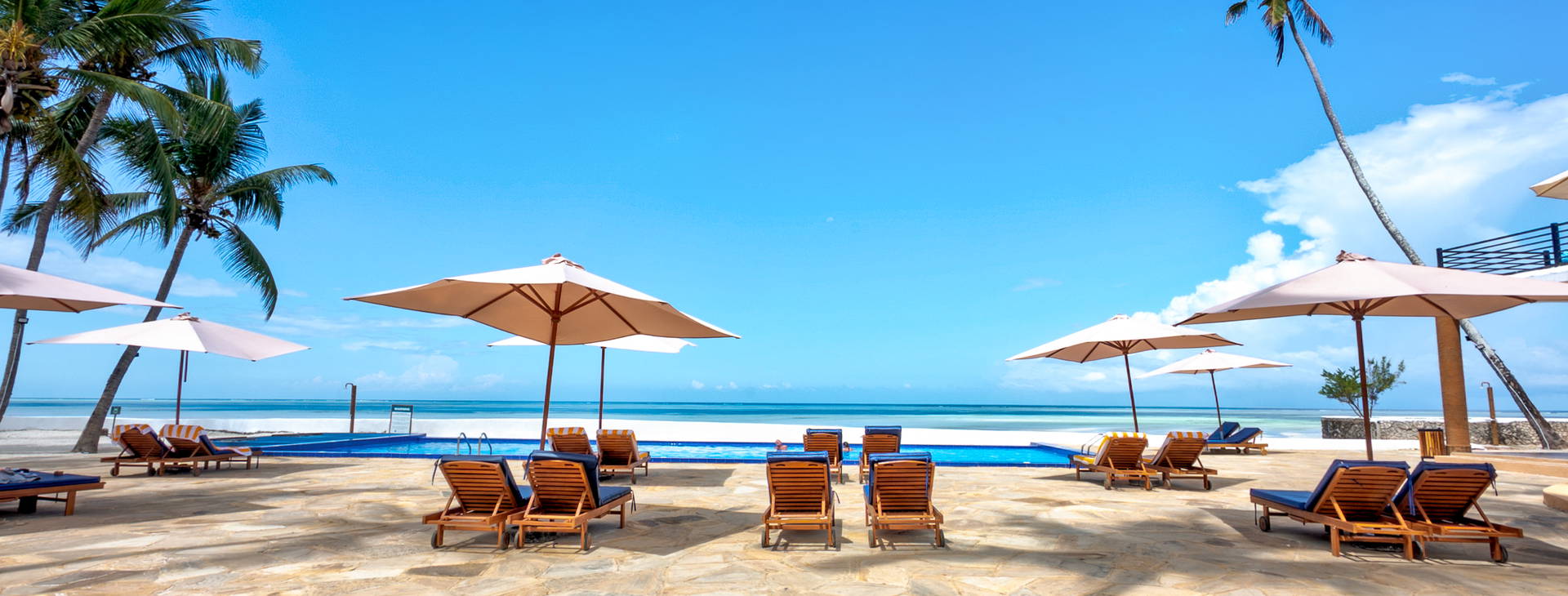 Royal Mandarin Obrázek7