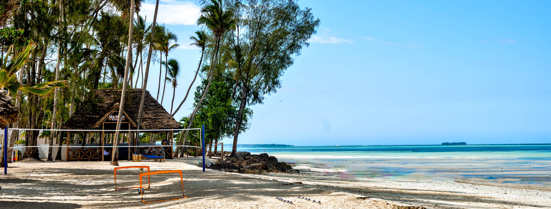 Royal Mandarin Obrázek38